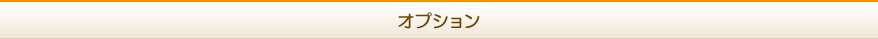 オプション